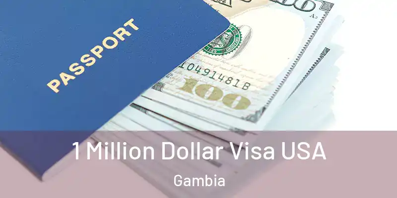 1 Million Dollar Visa USA Gambia